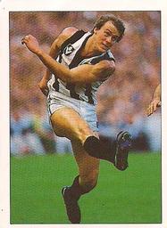 1990 Select AFL Stickers #44 Paul Hawke Front